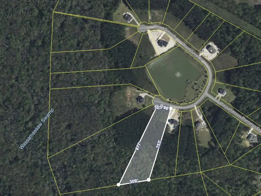 1305 Wood Sorrel Drive, Moncks Corner, SC 29461 - #2