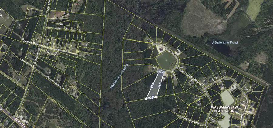 1305 Wood Sorrel Drive, Moncks Corner, SC 29461 - #3