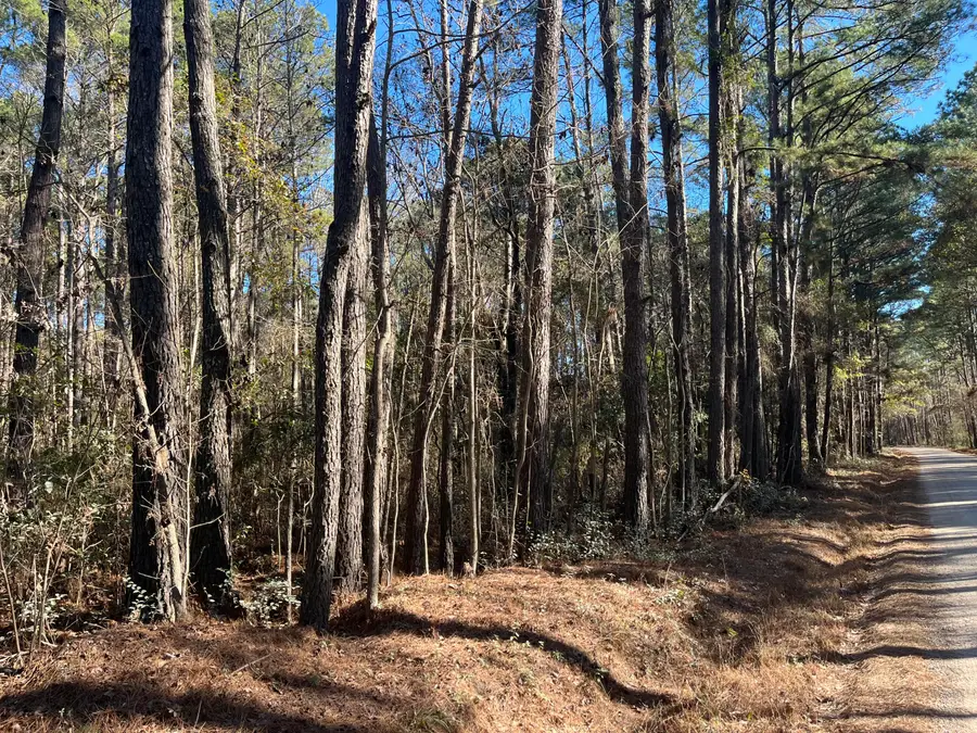 0 Brittlebank Road, Walterboro, SC 29488 - #2