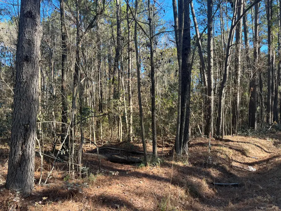 0 Brittlebank Road, Walterboro, SC 29488 - #3