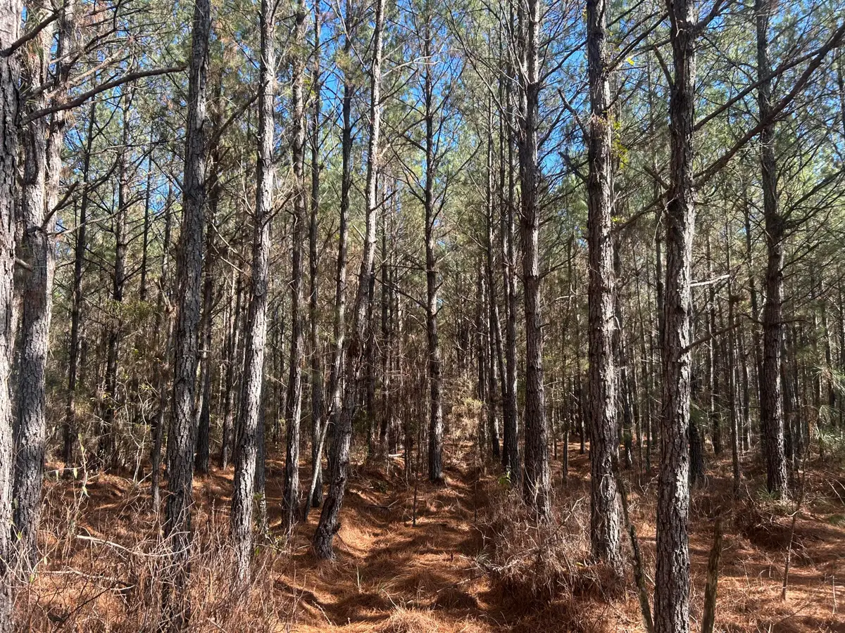 6 Red Oak Rd, Cottageville, SC 29435 - #1