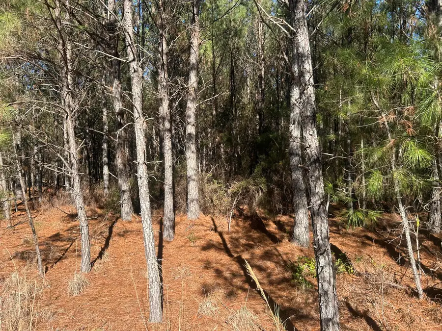 6 Red Oak Rd, Cottageville, SC 29435 - #2