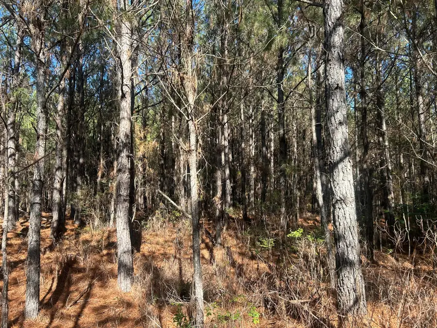 6 Red Oak Rd, Cottageville, SC 29435 - #3