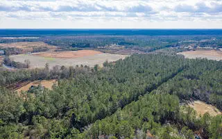 122 Deer Run Avenue, Andrews, SC 29510 - #3