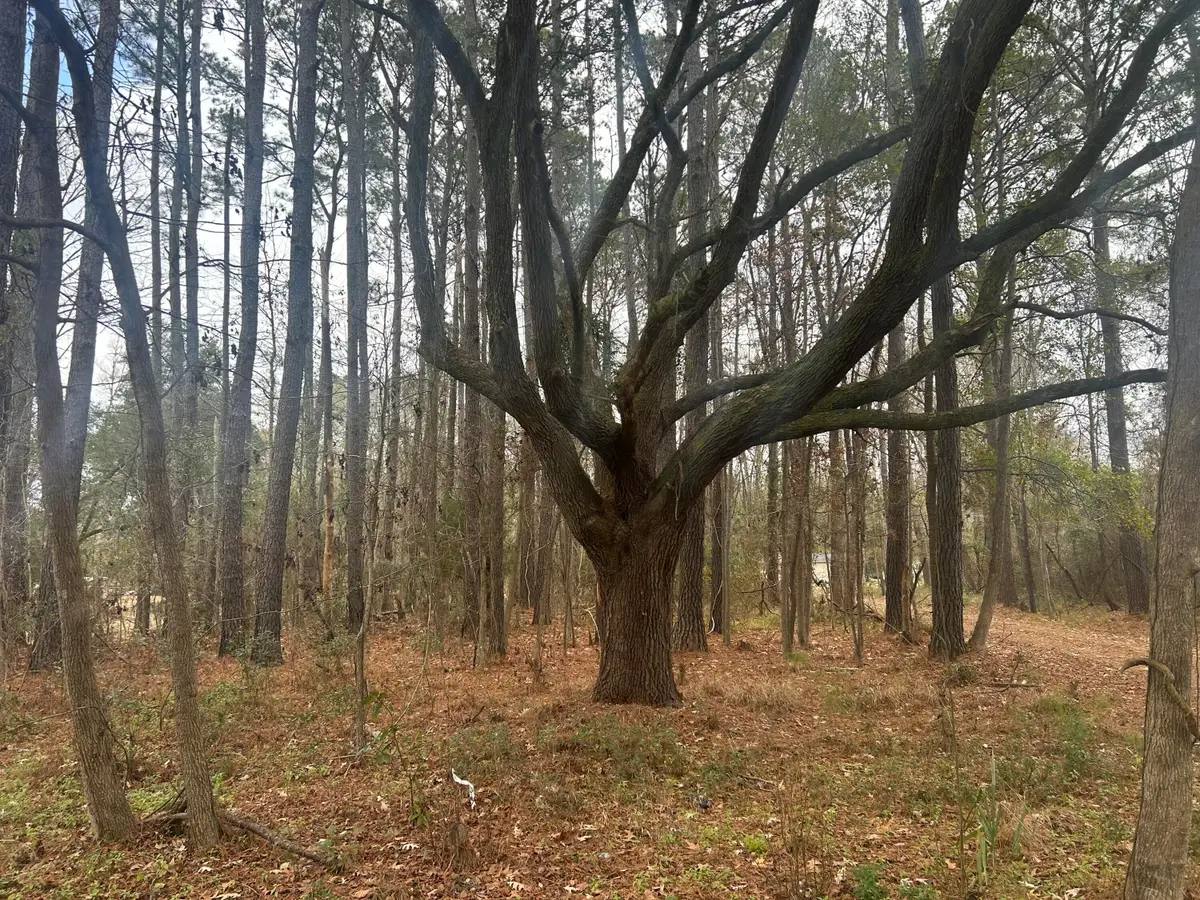 2437 Cape Road, Johns Island, SC 29455 - #1