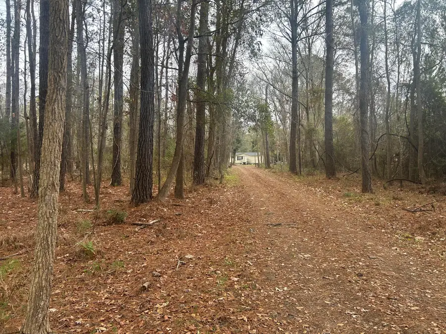 2437 Cape Road, Johns Island, SC 29455 - #2