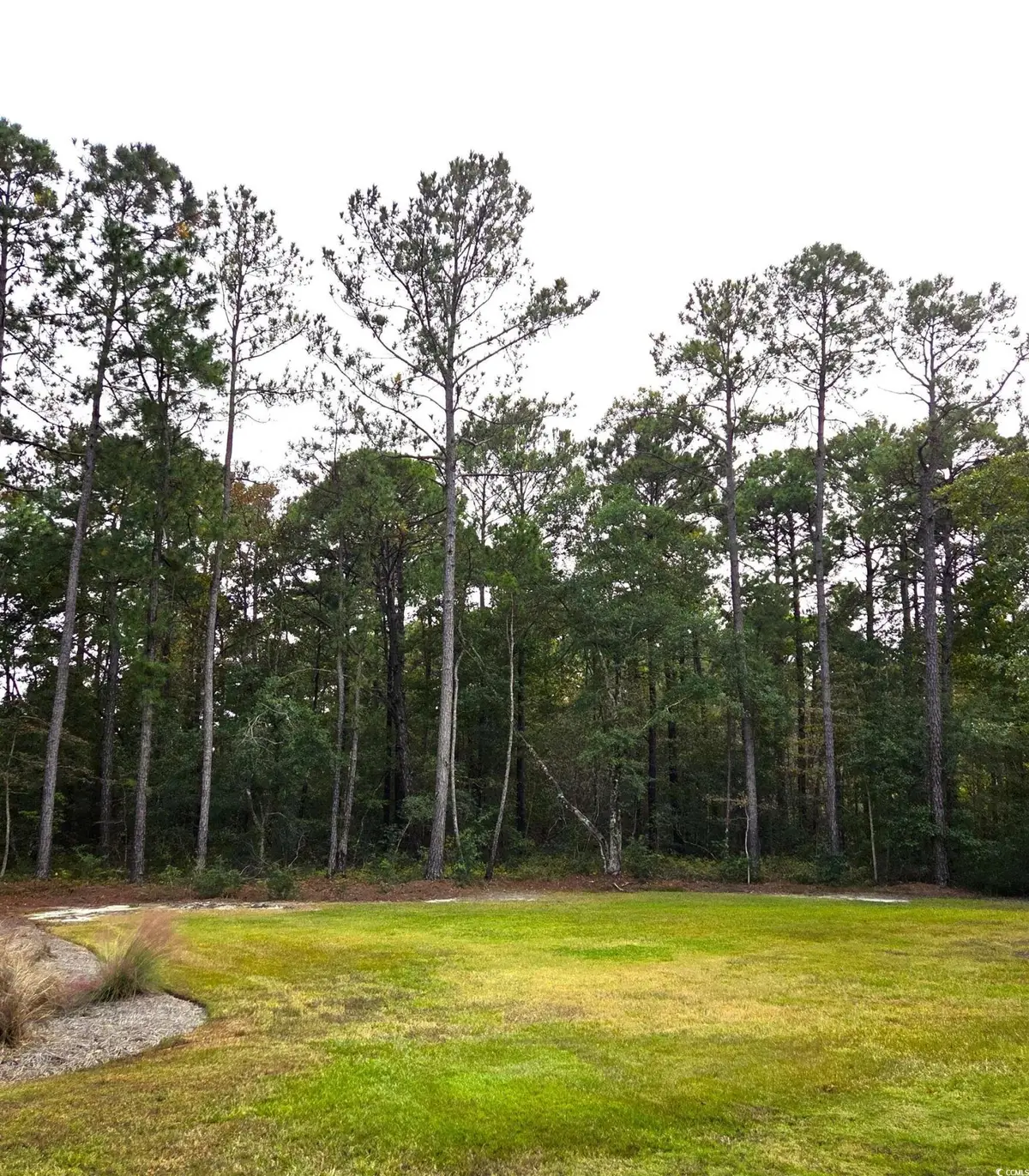885 Martin Luther King Road, Pawleys Island, SC 29585 - Image #1