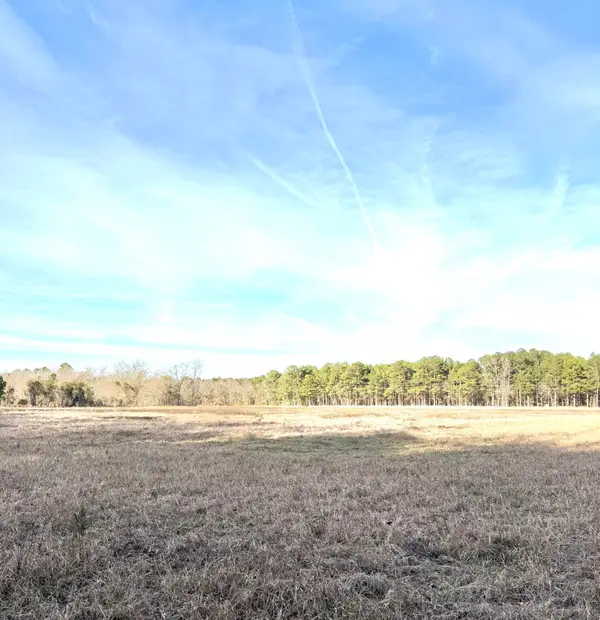Tbd Felderville Road, Elloree, SC 29047