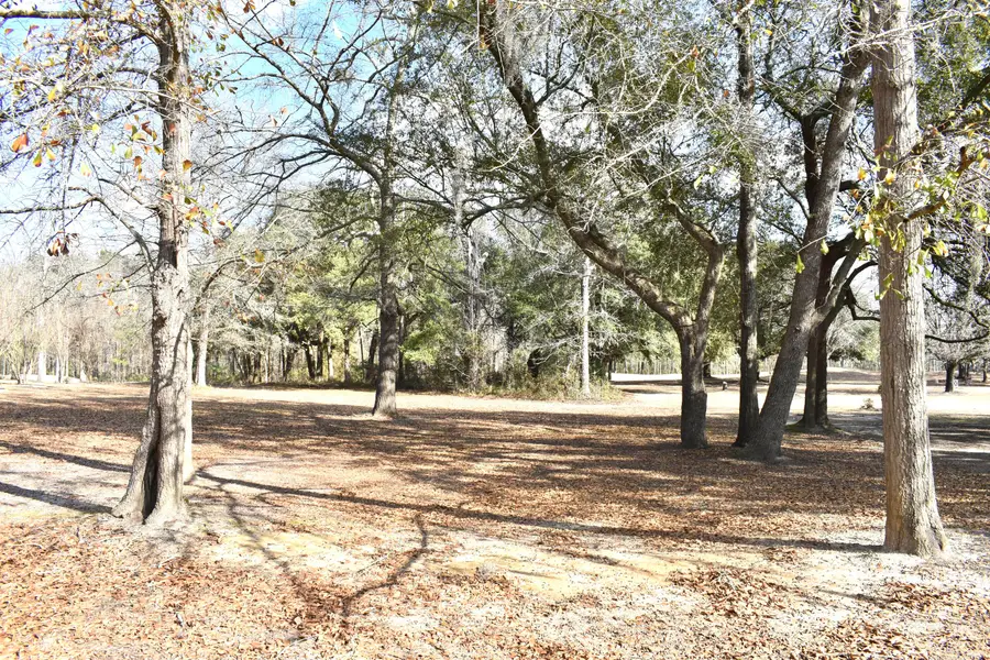 21 Fairway Drive, Manning, SC 29102 - Image #2