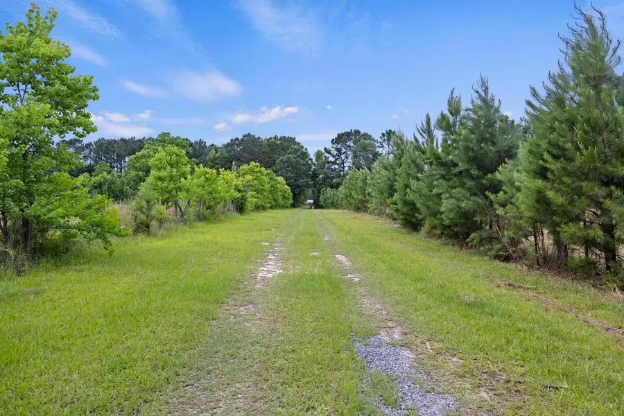 191 Marion Woods Trail, Bonneau, SC 29431 - Image #3