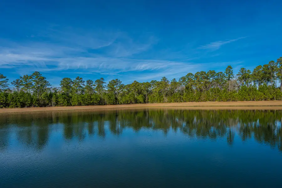 5049 Cranesbill Way, Johns Island, SC 29455 - #3