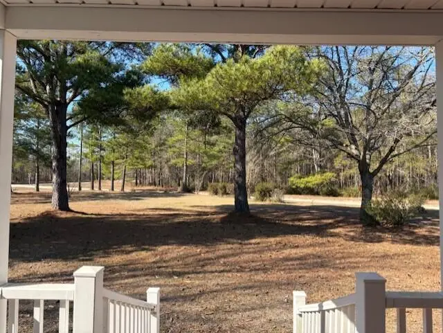 1248 Driggers Lane, Manning, SC 29102 - Image #2