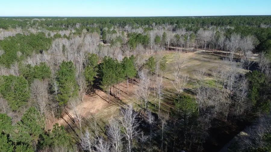 1 Crystal Lake Trail, Huger, SC 29450 - Image #3