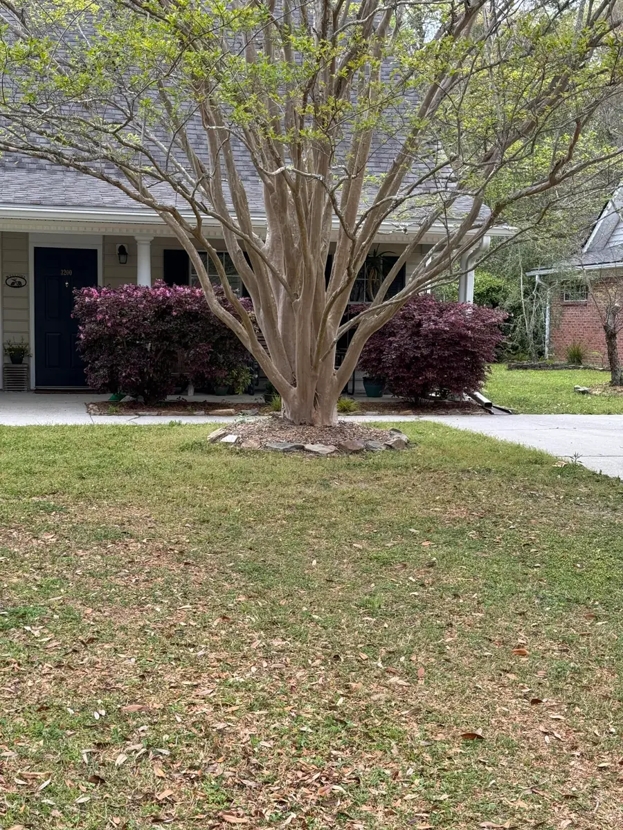 3200 Queensgate Way, Mount Pleasant, SC 29466 - #2