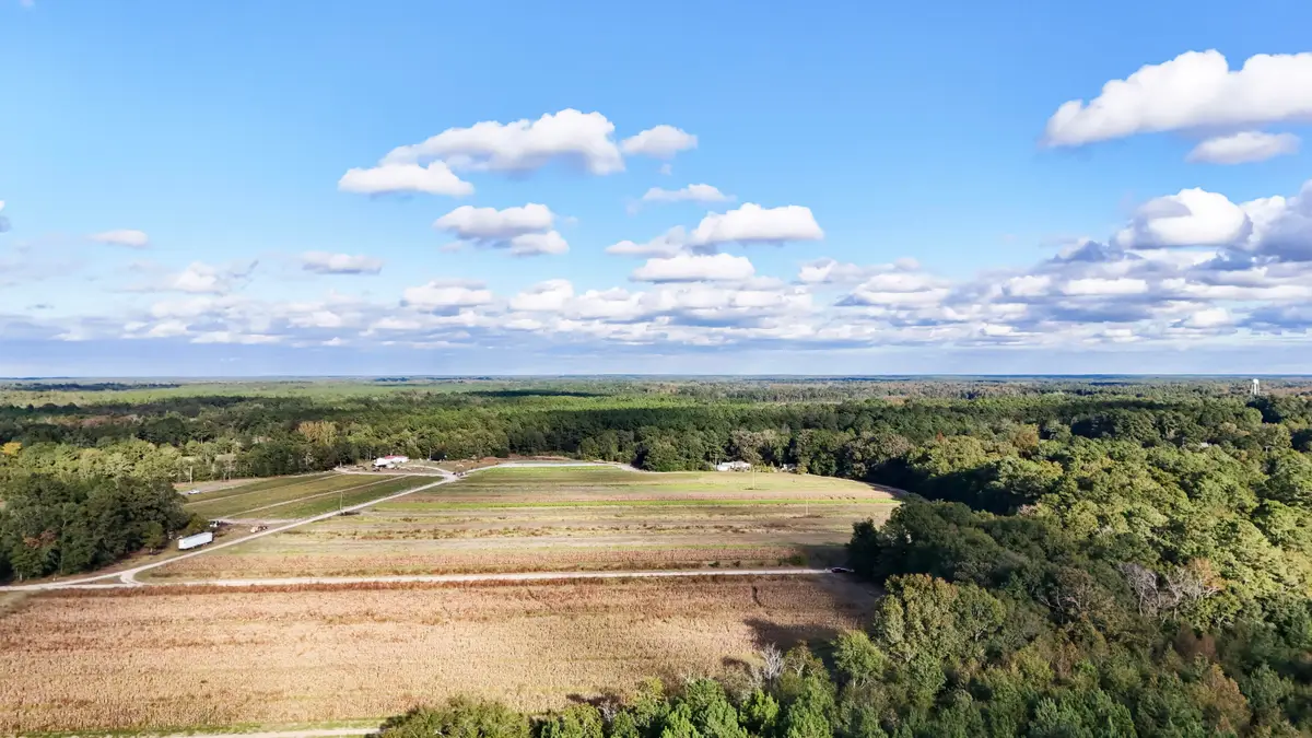 0000 Chavis Road, Blackville, SC 29817 - #1