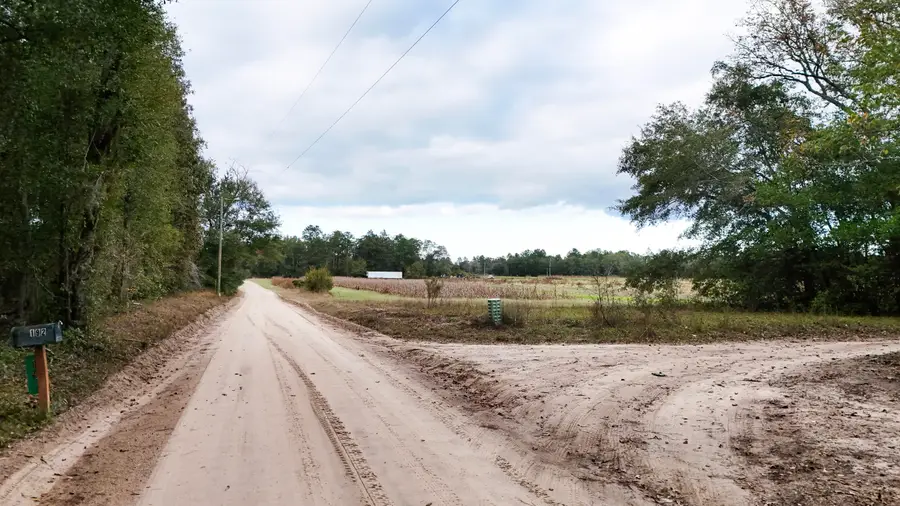 0000 Chavis Road, Blackville, SC 29817 - #3