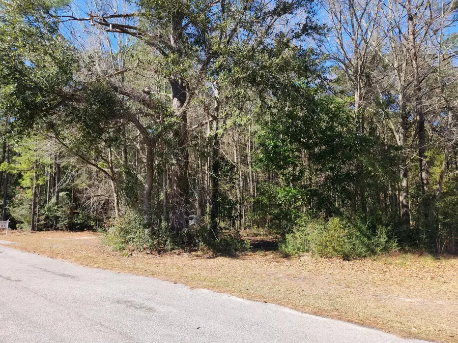 378 S Main Street, Ridgeville, SC 29472 - #2