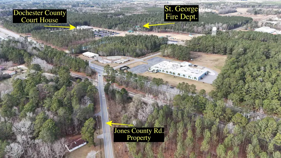 0 Jones Country Road, Saint George, SC 29477 - Image #2