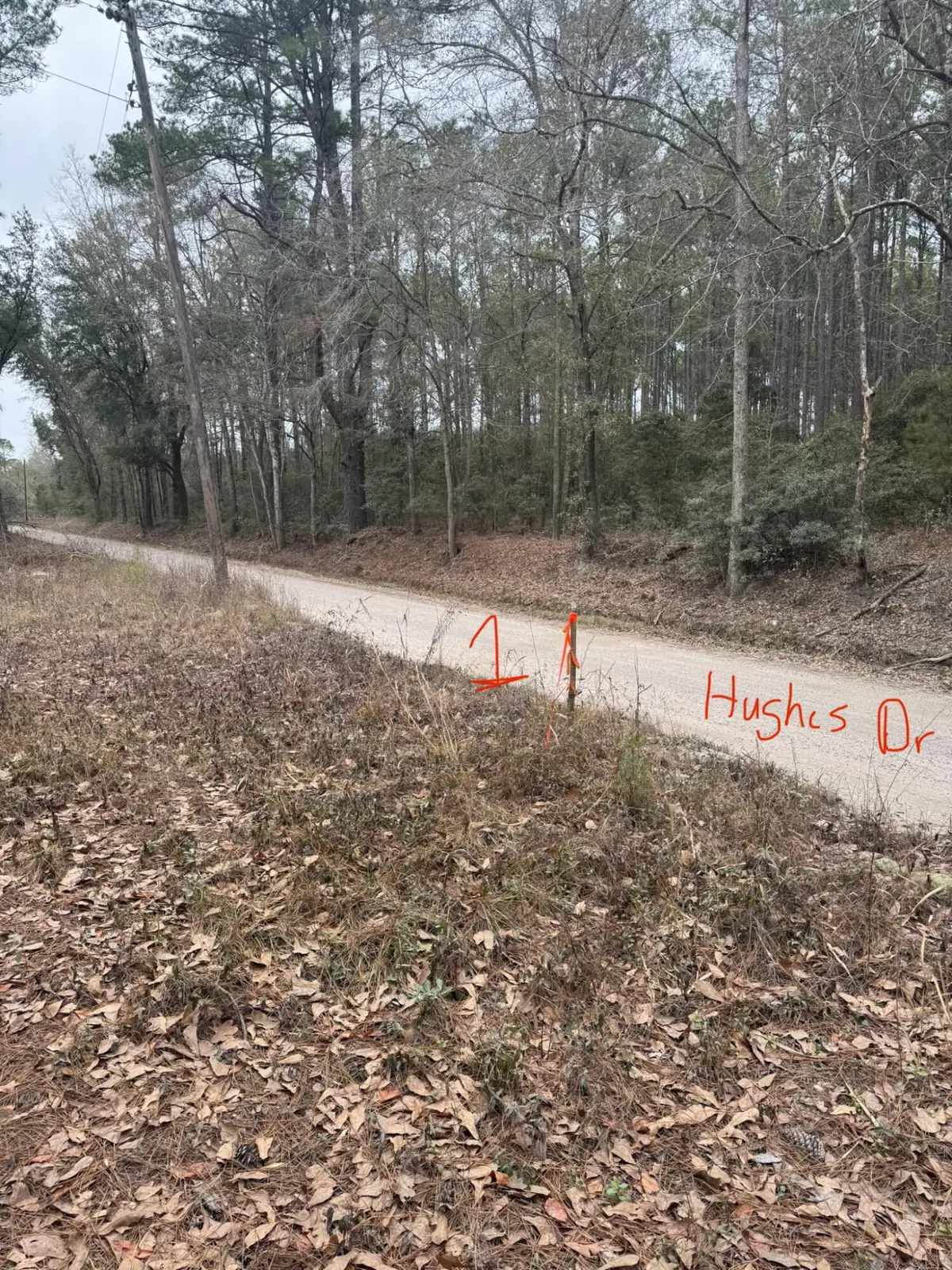 0 Hughes Drive, Round O, SC 29474 - Image #1