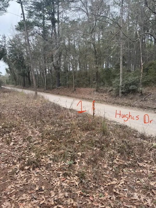 0 Hughes Drive, Round O, SC 29474