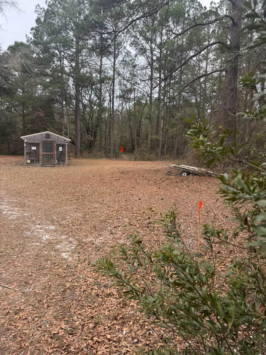 0 Hughes Drive, Round O, SC 29474 - Image #3