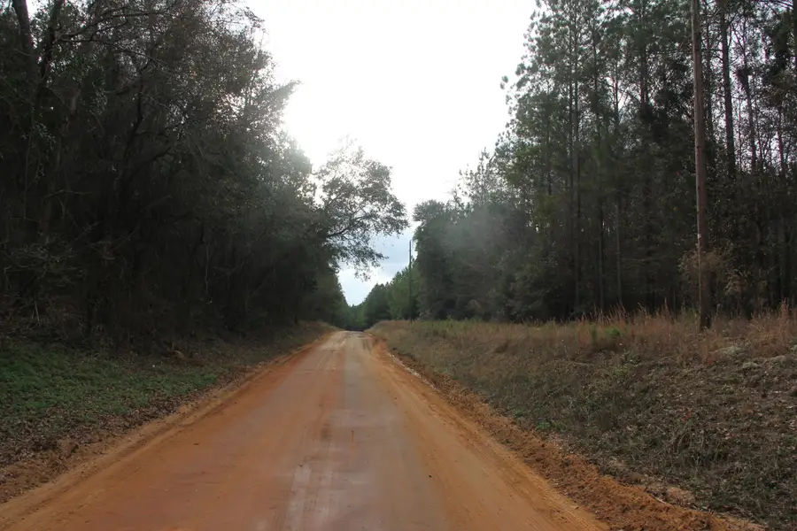 00 Raymond Rd Road, Orangeburg, SC 29118 - Image #3