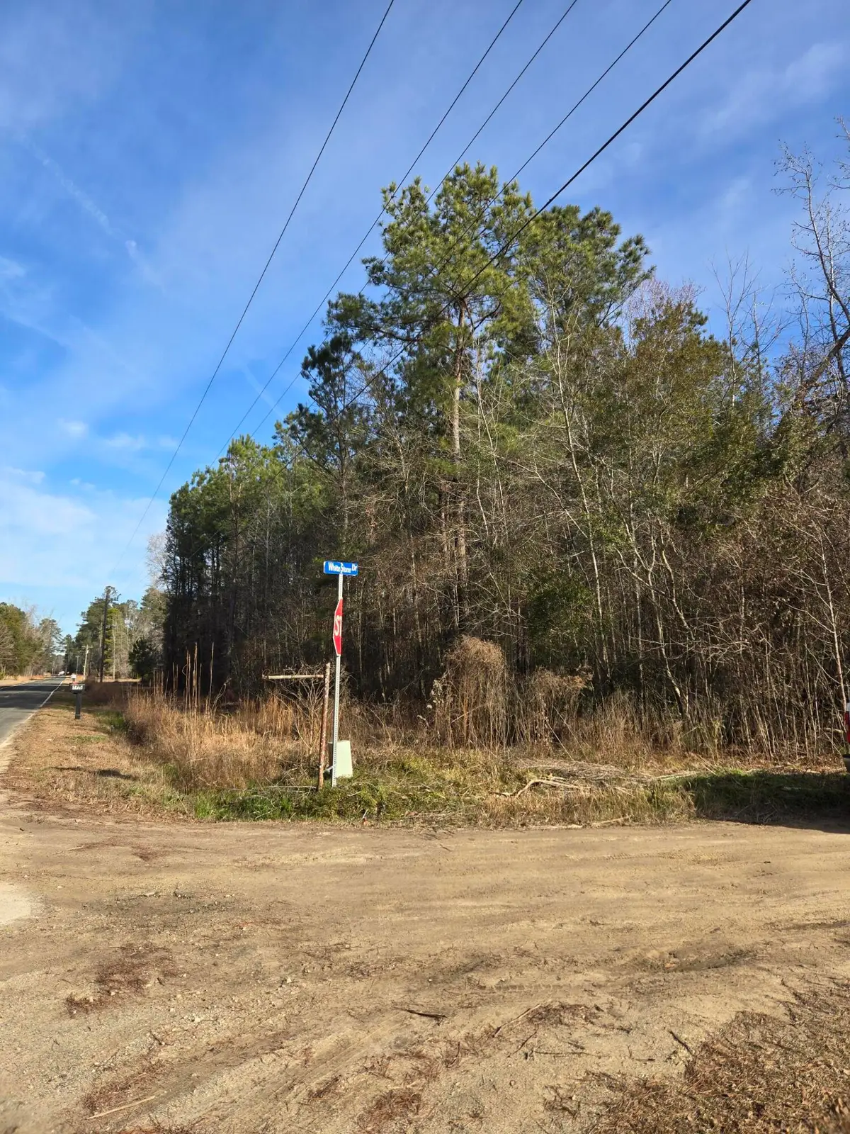 0 Whitestone Drive, Reevesville, SC 29471 - Image #1