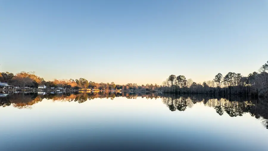 402 Knott Drive, Eutawville, SC 29048 - Image #3