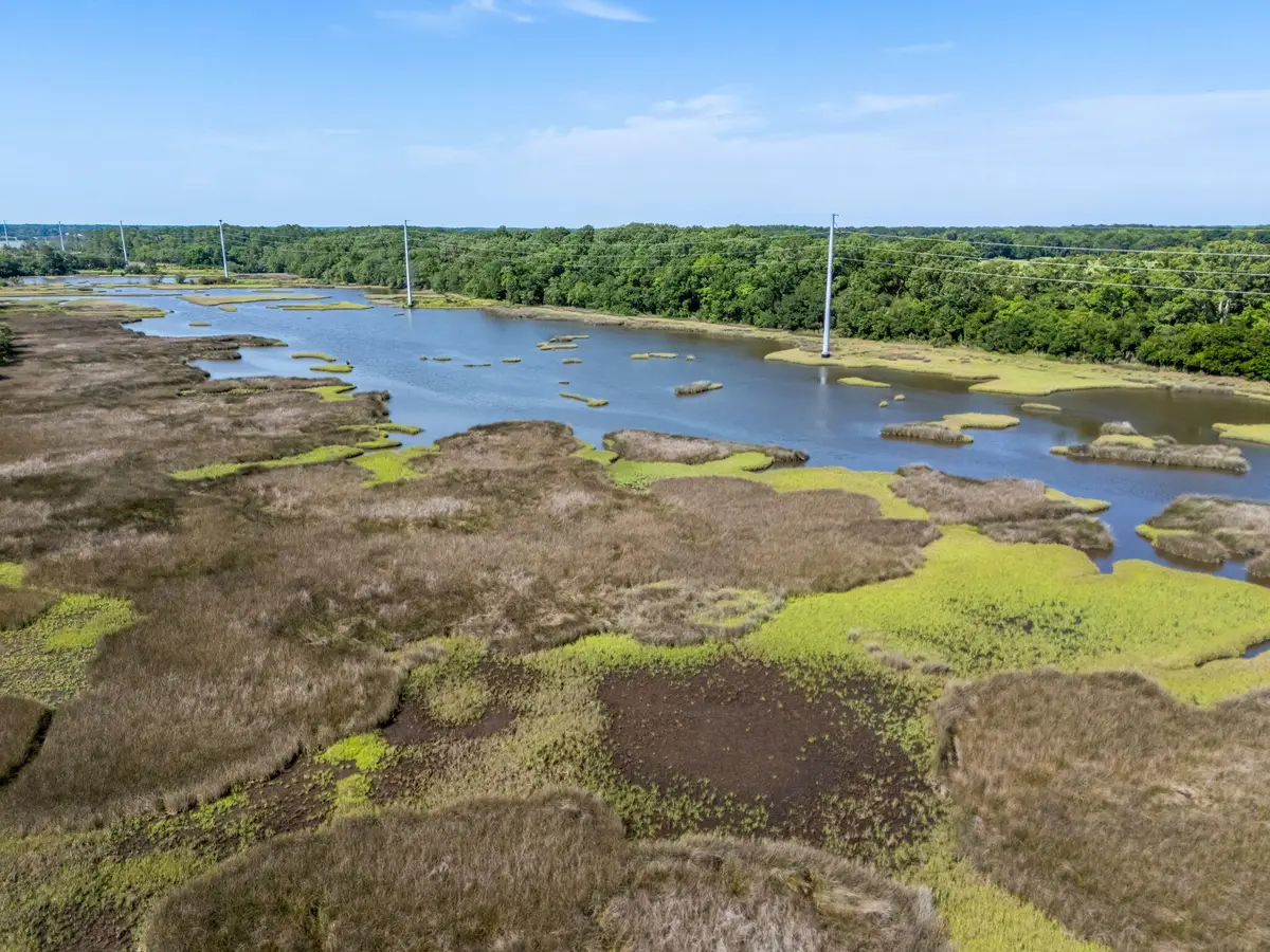 821 Longbranch Drive, Charleston, SC 29414 - Image #1