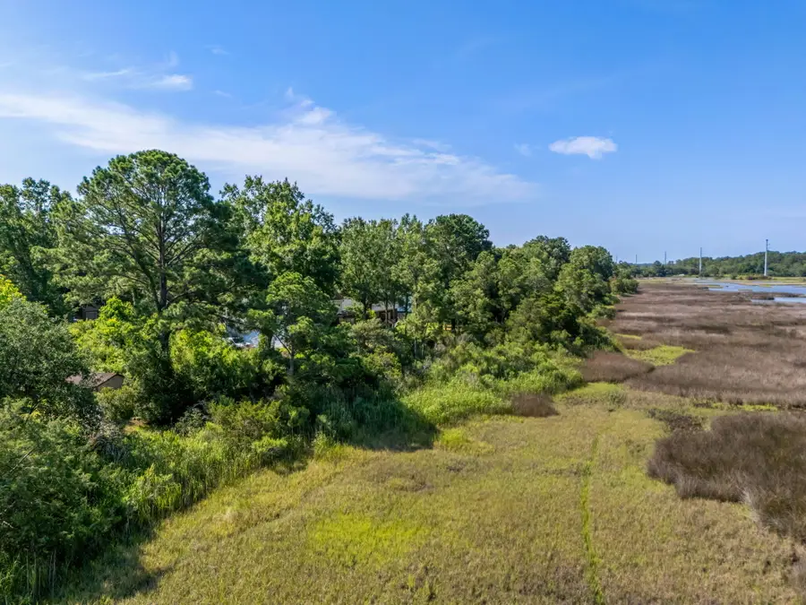 821 Longbranch Drive, Charleston, SC 29414 - Image #3