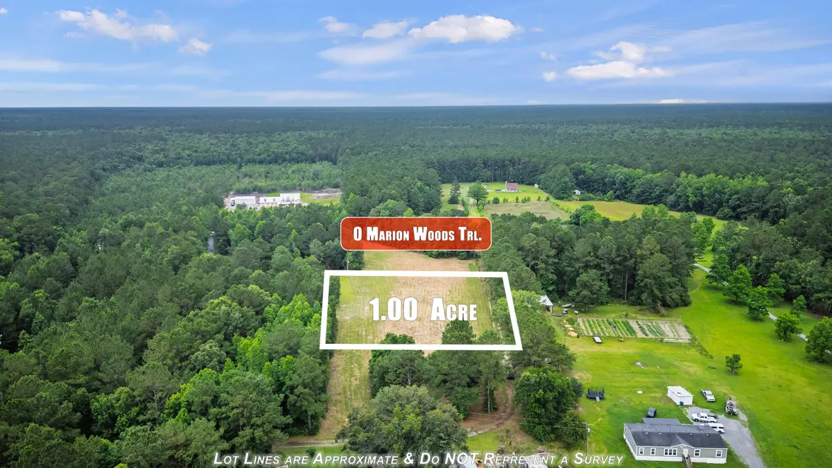 0 Marion Woods Trail, Bonneau, SC 29431 - Image #1