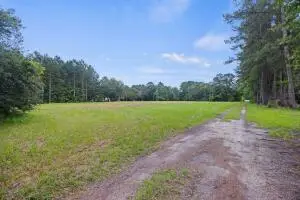 0 Marion Woods Trail, Bonneau, SC 29431 - Image #3