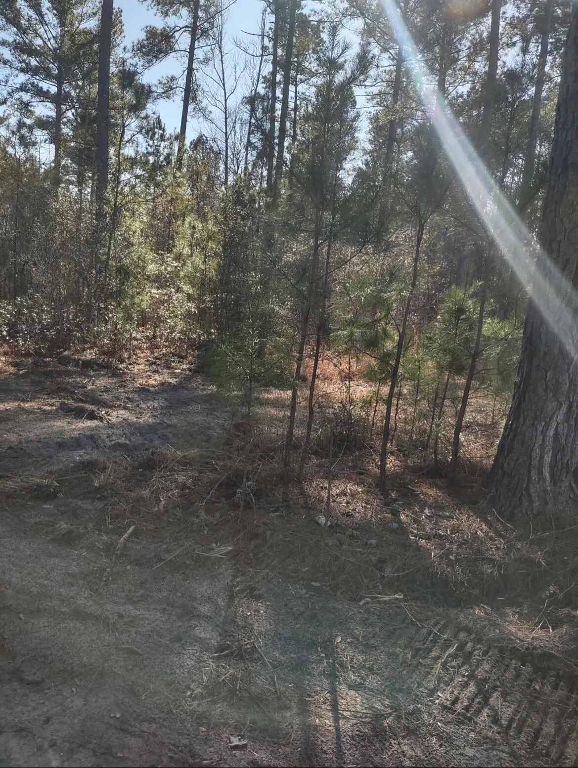 71 Breanna Court, Cottageville, SC 29435 - Image #1