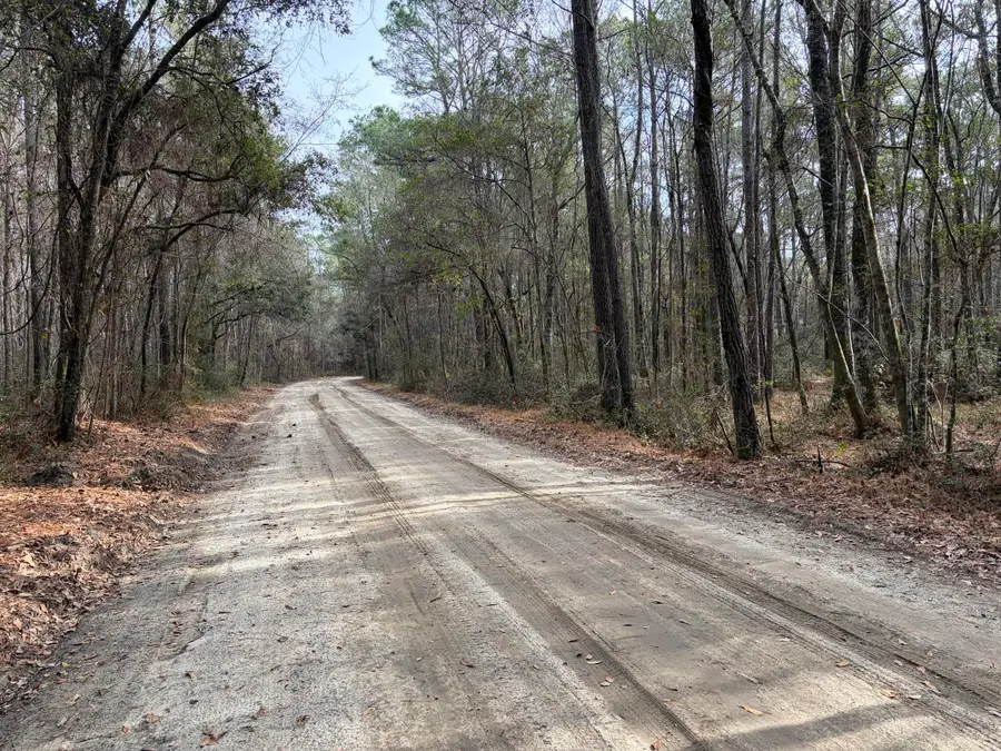 0 Hercules Lane, McClellanville, SC 29458 - Image #2
