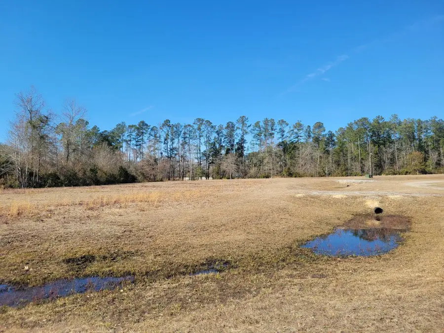 91 Rice Gate Court #Lot 3, Walterboro, SC 29488 - Image #3