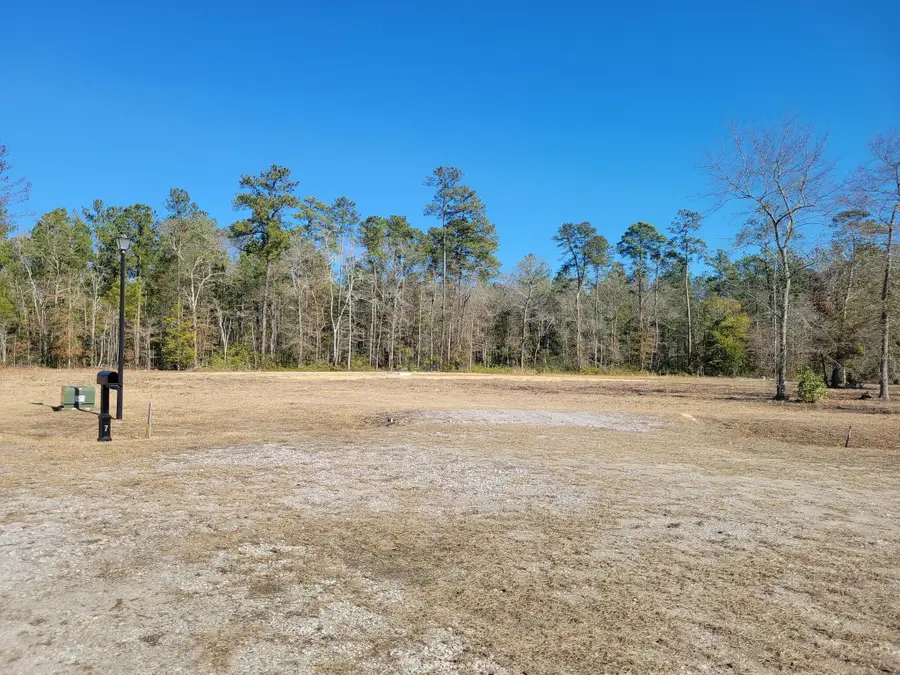 170 Rice Gate Court, Walterboro, SC 29488 - #3