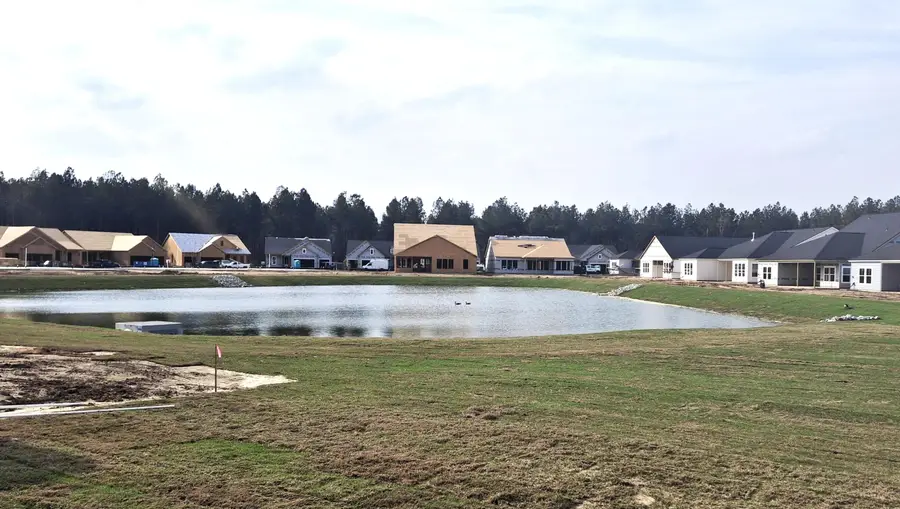 1661 Locals Street, Summerville, SC 29485 - #2