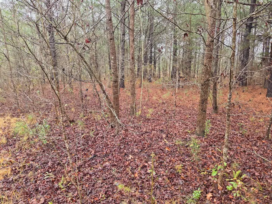 00 Calamus Pond Road, Summerville, SC 29486 - #3