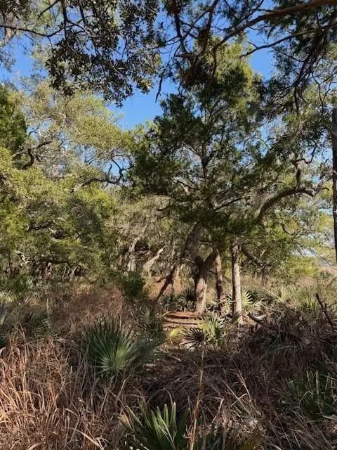 45 S Huspah Court, Seabrook, SC 29940