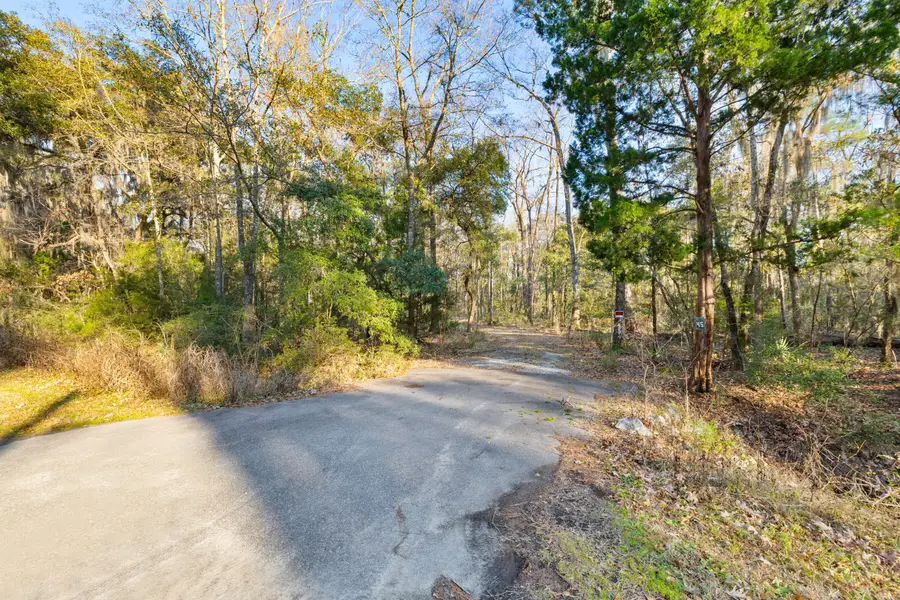 45 S Huspah Court, Seabrook, SC 29940 - #3