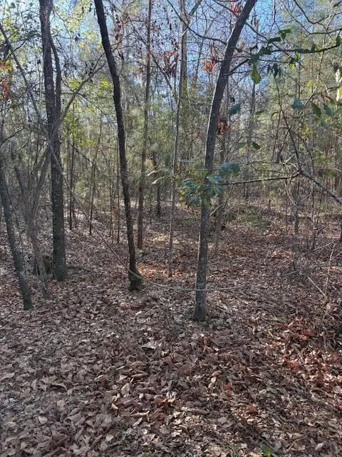 01 Broughton Road, Moncks Corner, SC 29461 - Image #3