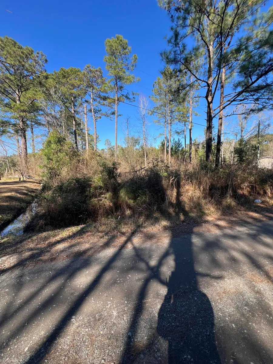 0 Mims Lane, Georgetown, SC 29440 - #3