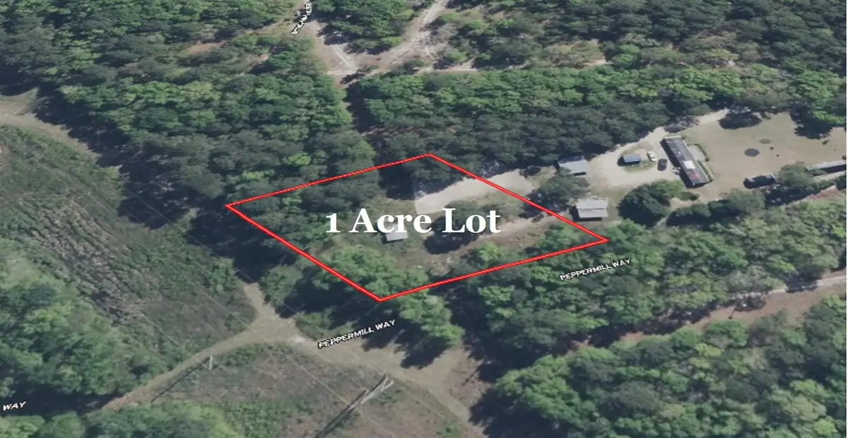 0 Peppermill Way, Saint Stephen, SC 29479 - #1