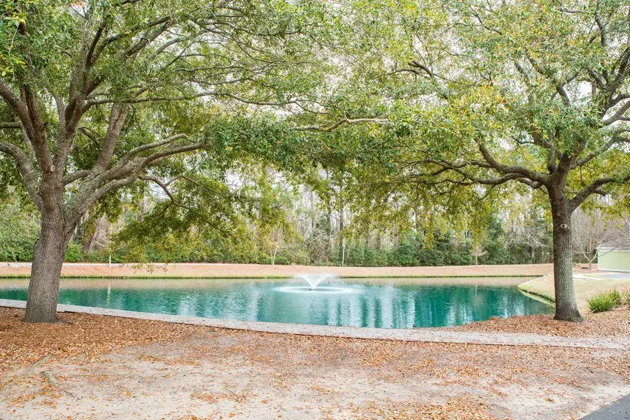 2322 Chatelain Way, Mount Pleasant, SC 29464 - Image #3