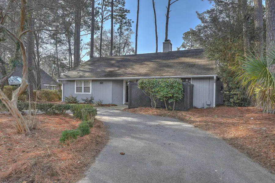 1126 Snap Dragon Court, Mount Pleasant, SC 29464 - #3