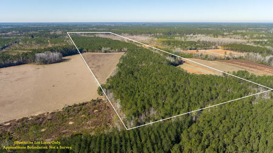 0 Hiotts Pond, Walterboro, SC 29488 - #2