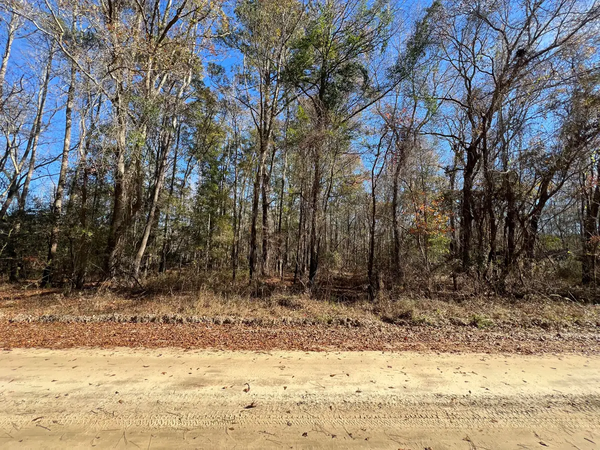 0 Vancouver Road, Bowman, SC 29018 - Image #1