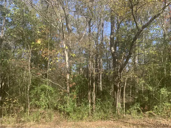 Lot 21 Mary Ellie Drive, Summerville, SC 29483