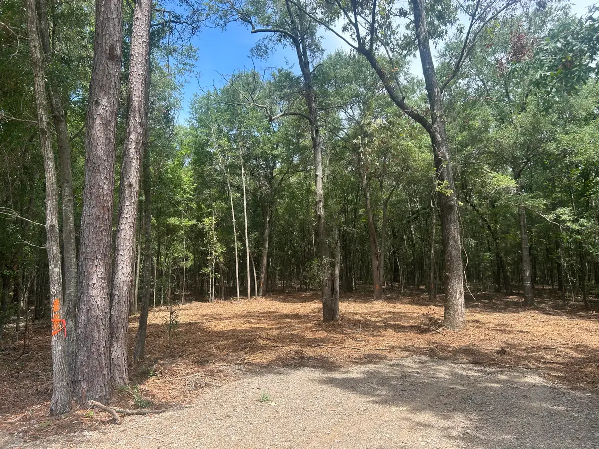 8 Francis Marion Blvd, Summerton, SC 29148 - Image #1