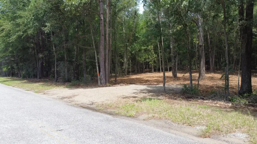 8 Francis Marion Blvd, Summerton, SC 29148 - Image #2